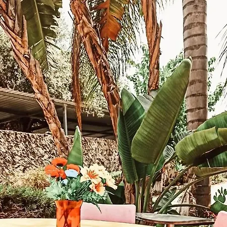 La Palma Hotel